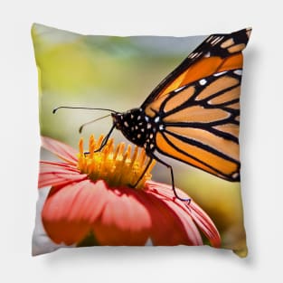 Monarch Butterfly Pillow