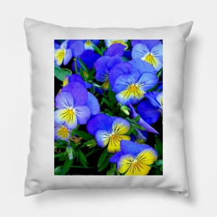 Pansies - Blue and Yellow Pillow