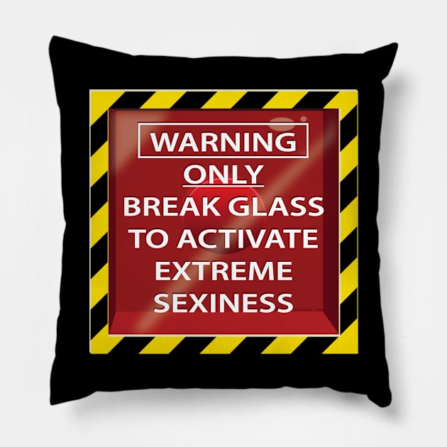 BREAK GLASS - SEXINESS Pillow by Illustratorator