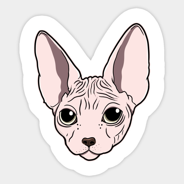 Sphynx Cat Sphynx Cat Sticker Teepublic