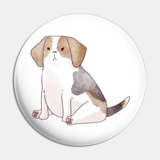 Cute beagle puppy Pin