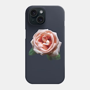 Roses - Delicate Peach-Colored Rose Phone Case