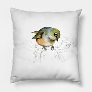 Sylvereye bird of New Zealand Pillow