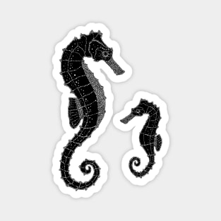 Seahorse Baby Magnet