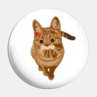 Maddo Catto Pin