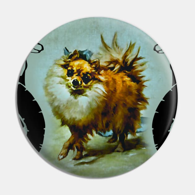 Pomeranian dog Pin by Marccelus