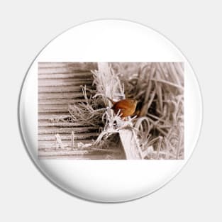 Frosty Wren Pin