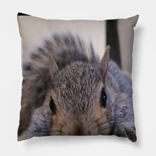 Tuckered Out Squirrel Pillow