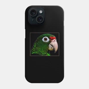 Parrot / Cotorra Phone Case