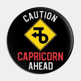 Funny Zodiac Horoscope Capricorn Road Sign Traffic Signal Pin