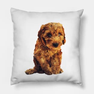 Cockapoo Labradoodle Goldendoodle Doodle Cavoodle Poodle Puppy Dog Pillow