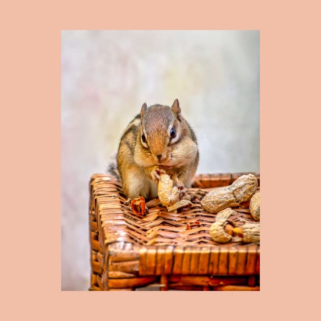 Sweet chipmunk shares a peanut by iyd39