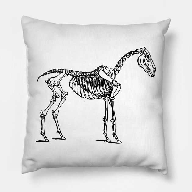 Skeleton Horse Pillow by luckylucy