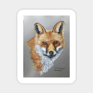 Red Fox Magnet