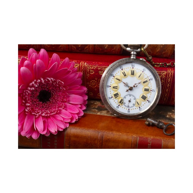 Pink Daisy And Pocket Watch by photogarry