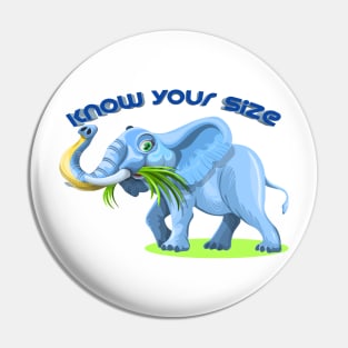 Know Your Size - Inspirational Elephant Pin