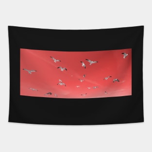 Seagulls in the sky, living coral pantone color 2019 Tapestry