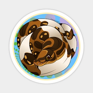 Pied Ball Python Circle Magnet