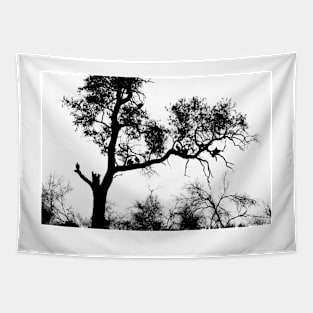 African White-backed Vultures in Silhouette Tapestry