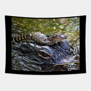 Going for a Ride Tapestry