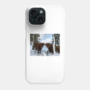 Scottish Highland Cattle Cow and Calf 1619 Phone Case