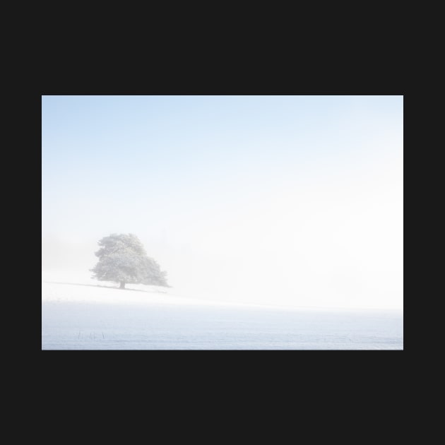 ' Snowy Winter Tree' , Blair Atholl, near Pitlochry. by mucklepawprint