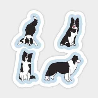 border collie pack Magnet