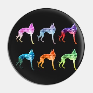 Multicoloured Whippet Waves Sticker Pack Pin