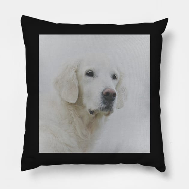 Portrait of an old beautiful lovable lady Pillow by Trine