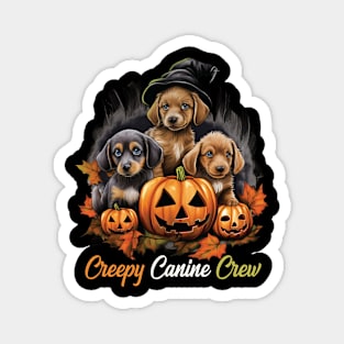 Paws & Pumpkins Best Halloween Dog Ever! Magnet