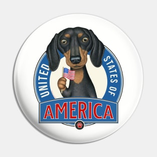 Dachshund United States of America Pin