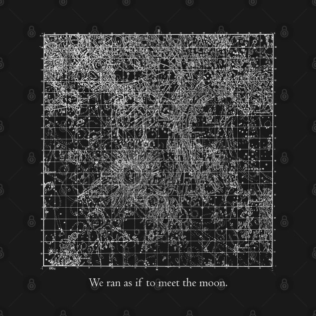 We Ran as if to Meet the Moon by codeWhisperer