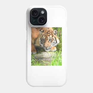 Sumatran Tiger Phone Case