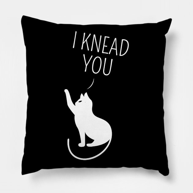 Kitty Cat Lover Paw Quote Pillow by FamiLane