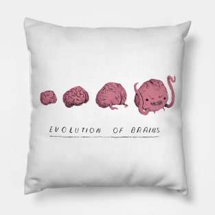 evolution of brains Pillow