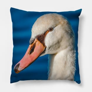 Beautiful Mute Swan Portrait Pillow