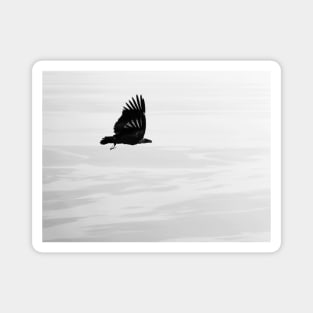 Black and White Vulture Magnet