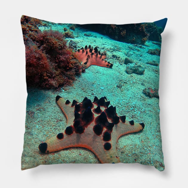 Chocolate Chip Sea Star Pillow by likbatonboot