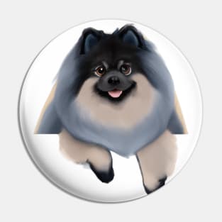 Cute Keeshond Drawing Pin