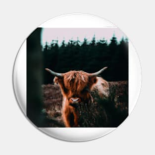 Scottish Highland Cow Cattle Oil Painting Pin