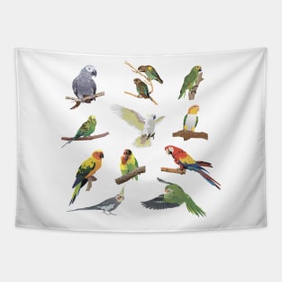 Various Colorful Parrots Tapestry