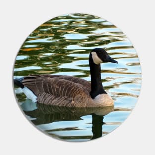 Canada Goose Swimming Pin