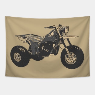 1984 ATC 250R Tapestry