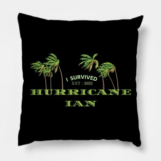 Hurricane Ian Pillow