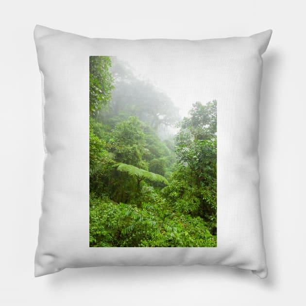 Misty rainforest in Monteverde cloud forest reserve Pillow by Juhku