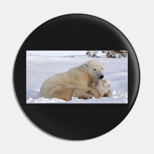 Polar bear family resting Pin