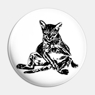 Cat Pin