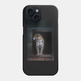 The Lookout Phone Case