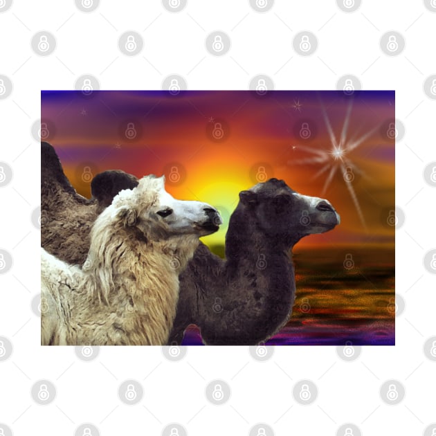 Bactrian Camels in the desert art gift. by BarbaraGlebska