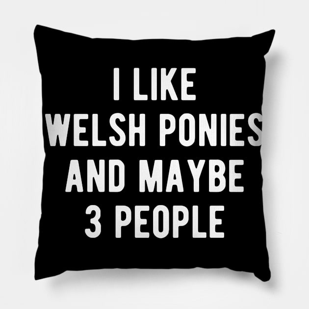 Welsh Ponies Funny Horse Quote Pillow by BlueTodyArt